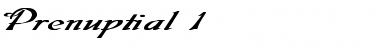 Download Prenuptial 1 Bold Plain Font Title Preview