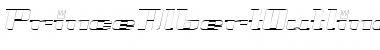 Download PrinceAlbertOutline Italic Font Title Preview