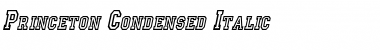 Download Princeton Condensed Italic Font Title Preview