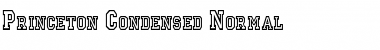 Download Princeton Condensed Normal Font Title Preview