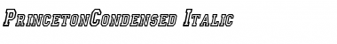 Download PrincetonCondensed Italic Font Title Preview
