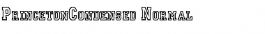 Download PrincetonCondensed Normal Font Title Preview