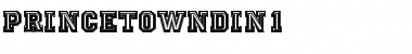 Download PrincetownDIn1 Regular Font Title Preview