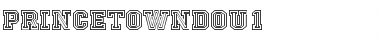 Download PrincetownDOu1 Regular Font Title Preview