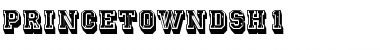 Download PrincetownDSh1 Regular Font Title Preview