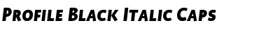 Download Profile Black Italic Font Title Preview