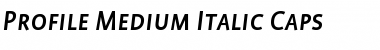 Download Profile Medium Italic Font Title Preview