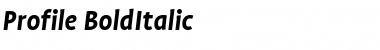 Download Profile Bold Italic Font Title Preview