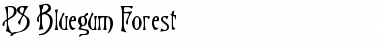 Download PS Bluegum Forest Regular Font Title Preview