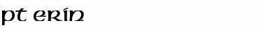Download PT Erin Normal Font Title Preview