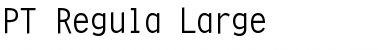 Download PT Regula Large Normal Font Title Preview