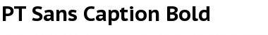 Download PT Sans Caption Bold Font Title Preview