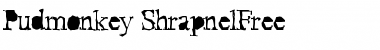 Download Pudmonkey ShrapnelFree Regular Font Title Preview