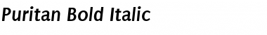 Download Puritan Regular Font Title Preview