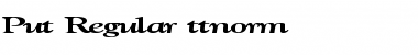 Download Put Regular Font Title Preview
