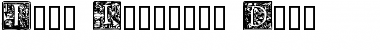 Download Pyle Initials Demo Regular Font Title Preview