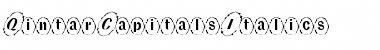 Download QintarCapitalsItalics Regular Font