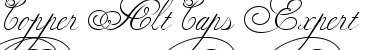 Download Copper Alt Caps Expert Regular Font Title Preview