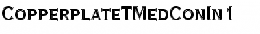 Download CopperplateTMedConIn1 Regular Font Title Preview