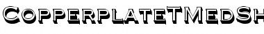 Download CopperplateTMedSh1 Regular Font Title Preview