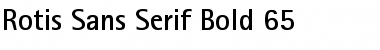 Download RotisSansSerif Bold Font Title Preview