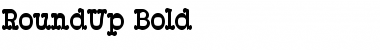 Download RoundUp Bold Font Title Preview