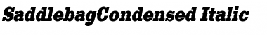 Download SaddlebagCondensed Font