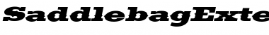 Download SaddlebagExtended Italic Font