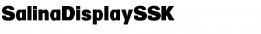 Download SalinaDisplaySSK Regular Font Title Preview