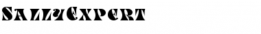 Download SallyExpert Normal Font Title Preview