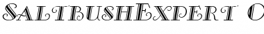 Download SaltbushExpert Oblique Font Title Preview