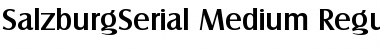 Download SalzburgSerial-Medium Regular Font Title Preview