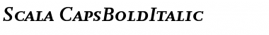 Download Scala Bold Italic Font