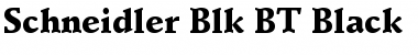 Download Schneidler Blk BT Font