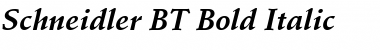 Download Schneidler BT Bold Italic Font
