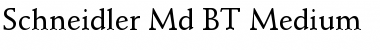 Download Schneidler Md BT Medium Font