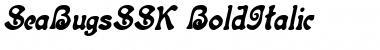 Download SeaBugsSSK Font