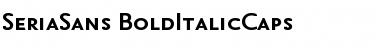 Download SeriaSans-BoldItalicCaps Regular Font