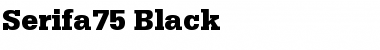 Download Serifa75-Black Black Font