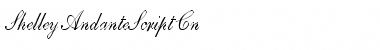 Download Shelley-AndanteScript Cn Regular Font Title Preview