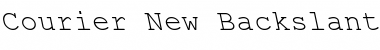 Download Courier New Backslanted Regular Font Title Preview