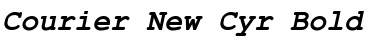 Download Courier New Cyr Bold Italic Font Title Preview