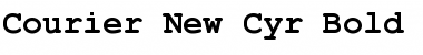 Download Courier New Cyr Bold Font Title Preview