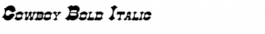 Download Cowboy Bold Italic Font Title Preview