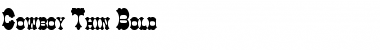 Download Cowboy Thin Bold Font Title Preview