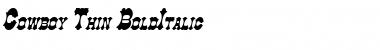 Download Cowboy Thin BoldItalic Font Title Preview