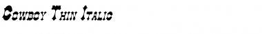 Download Cowboy Thin Italic Font Title Preview