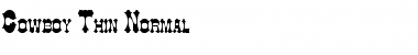 Download Cowboy Thin Normal Font Title Preview