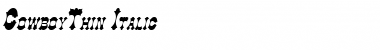 Download CowboyThin Italic Font Title Preview