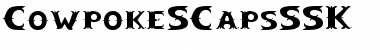 Download CowpokeSCapsSSK Regular Font Title Preview